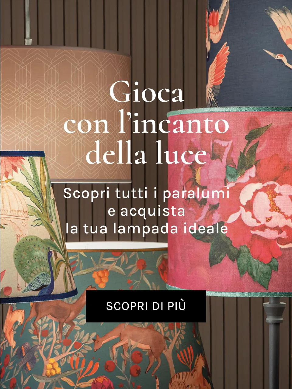 Gioca con l'incanto della luce