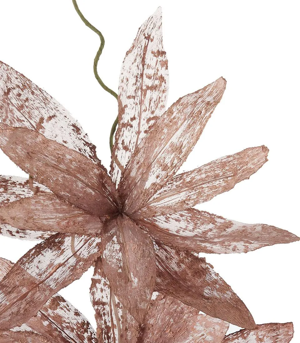 Magnolia porpurea bronzo