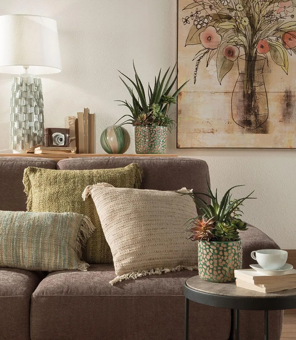 Composizione piante grasse - set 2 pz