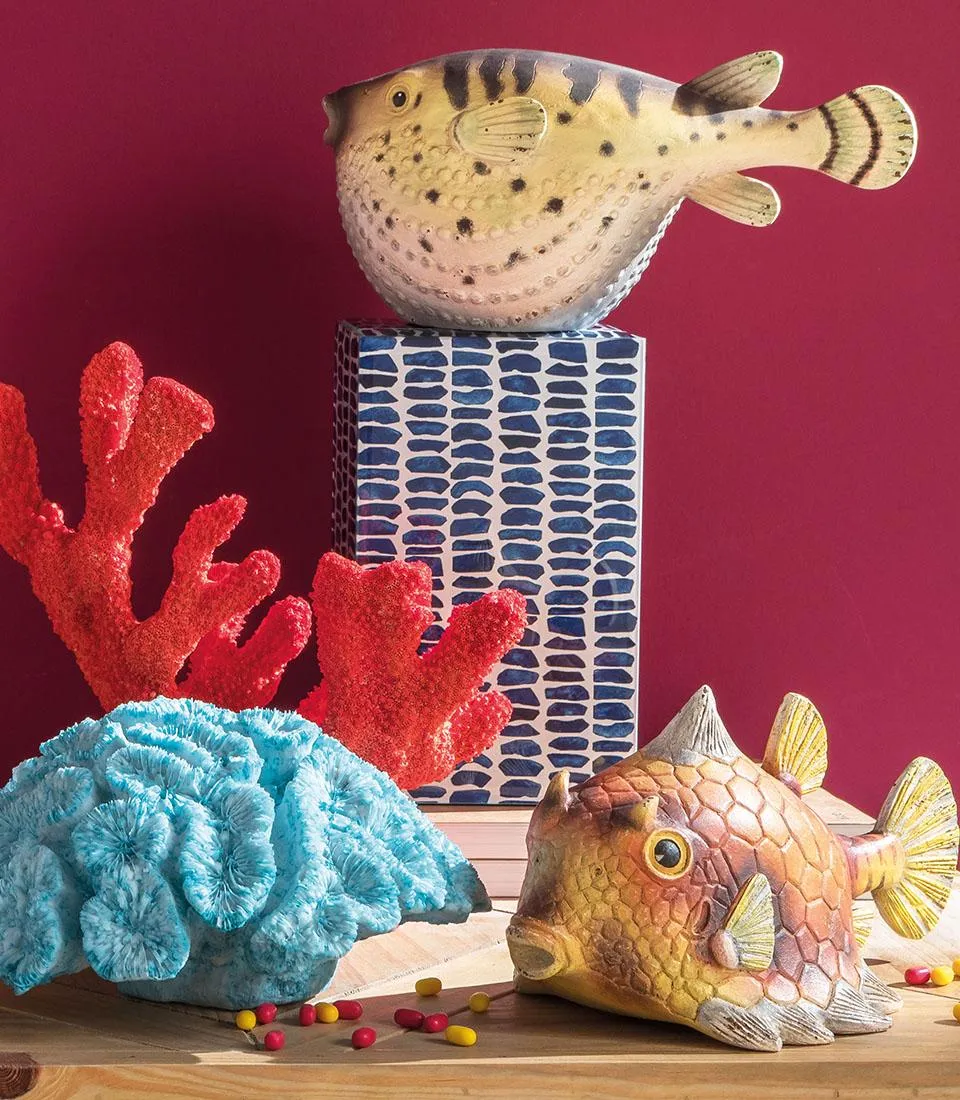 Pesce palla Tetradonte decorativo