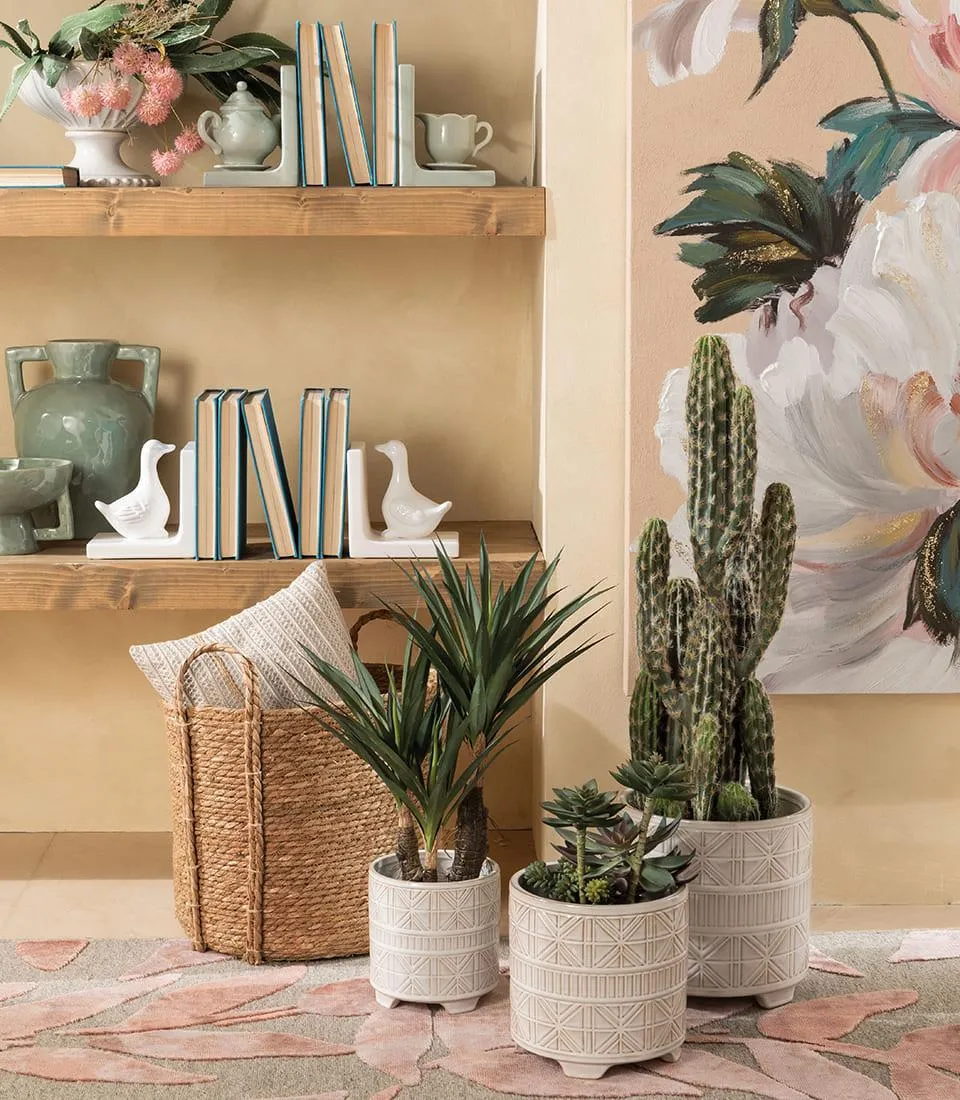 Fermalibri ora del the salvia- set 2 pz