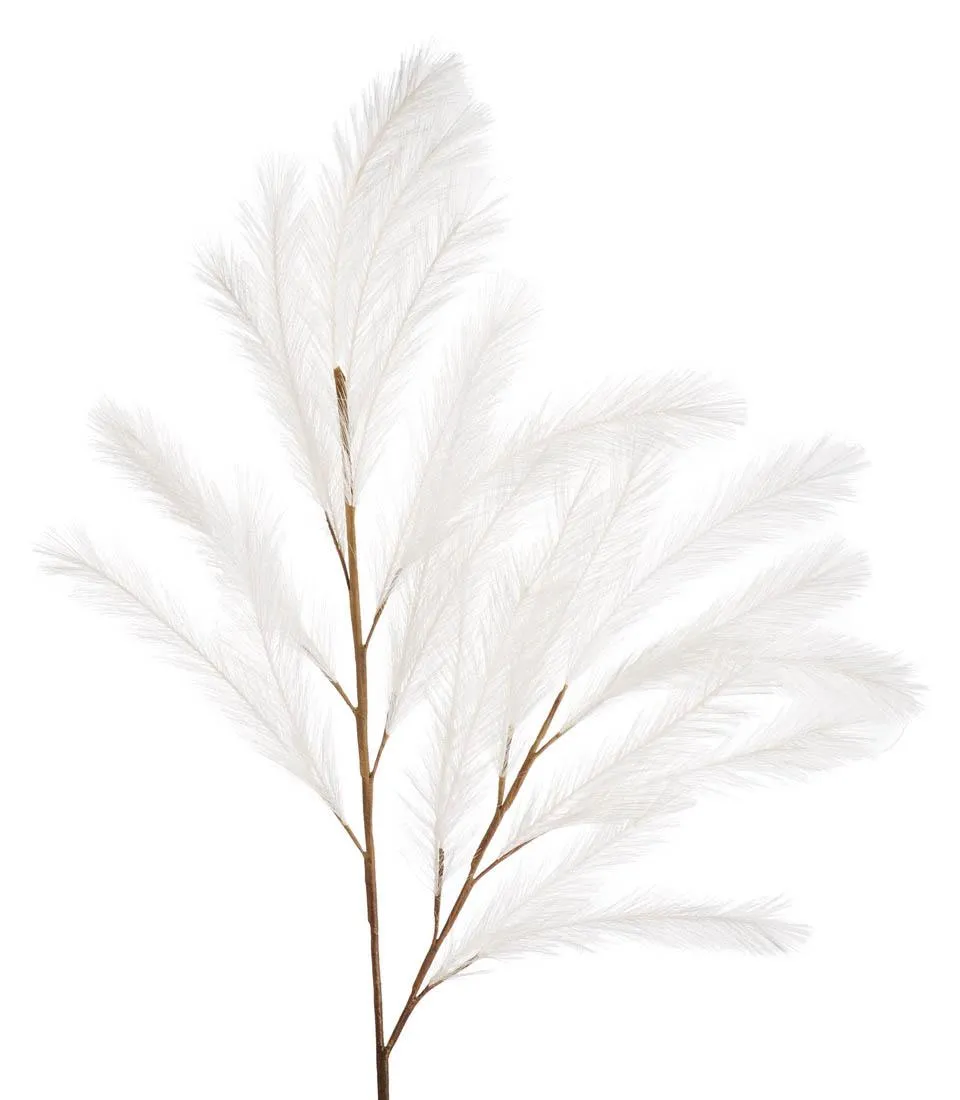 Pampas bianco