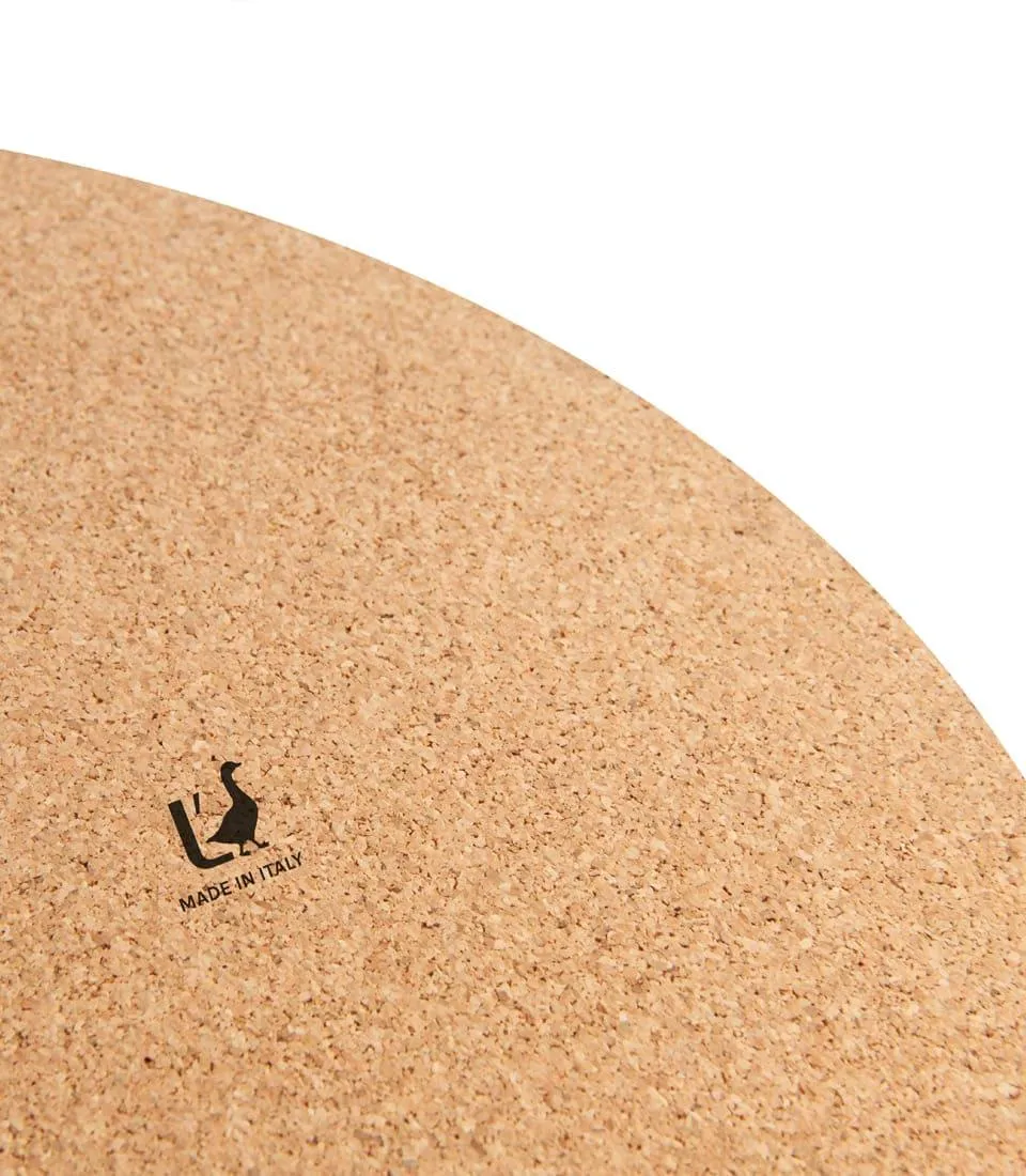 Tovaglietta rigida - Cactus grusonii