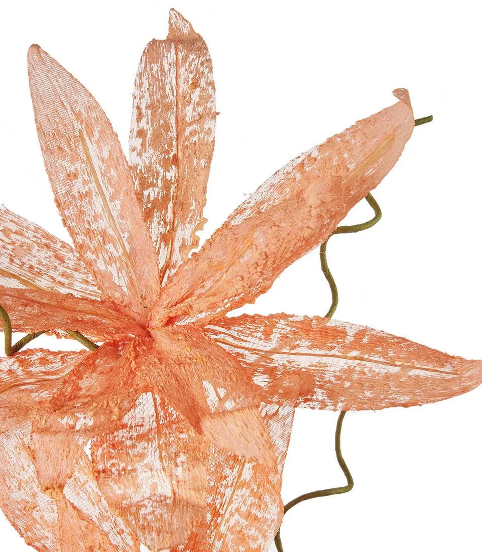 Magnolia porpurea arancio