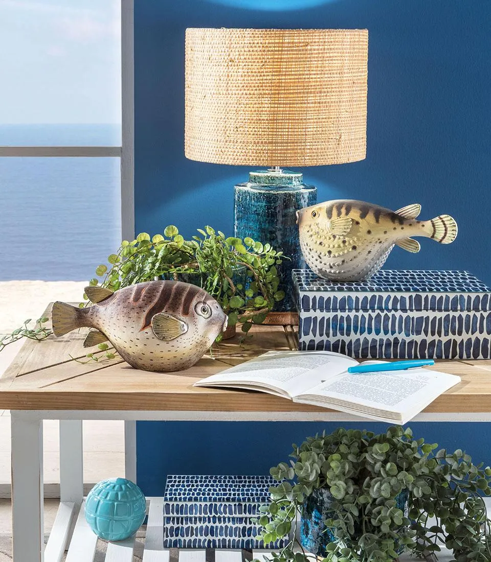 Pesce palla Colomesus decorativo