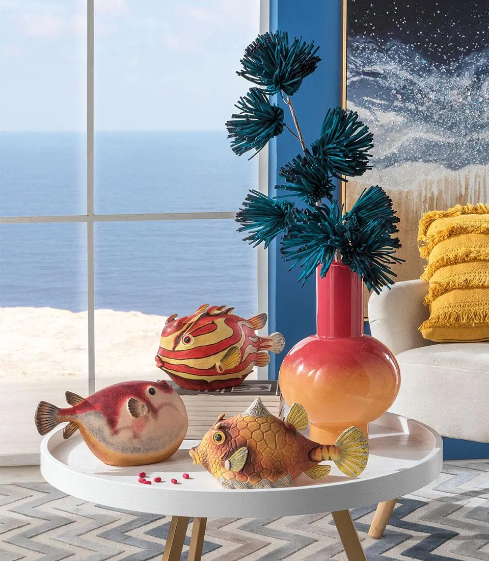 Pesce palla Lactoriadecorativo