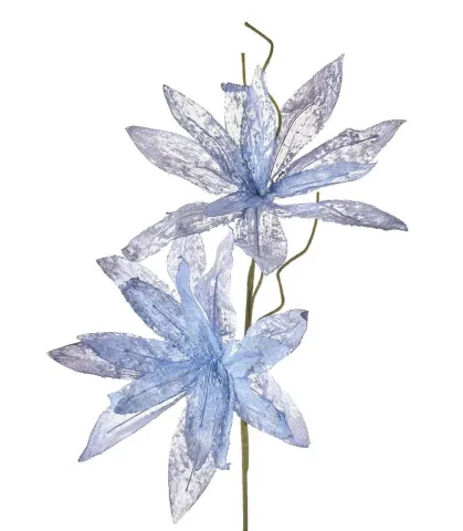 Magnolia porpurea celeste