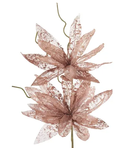 Magnolia porpurea bronzo